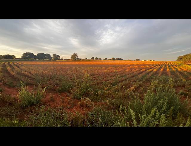 1.60HA VACANT LAND FOR SALE IN DROOGEFONTEIN